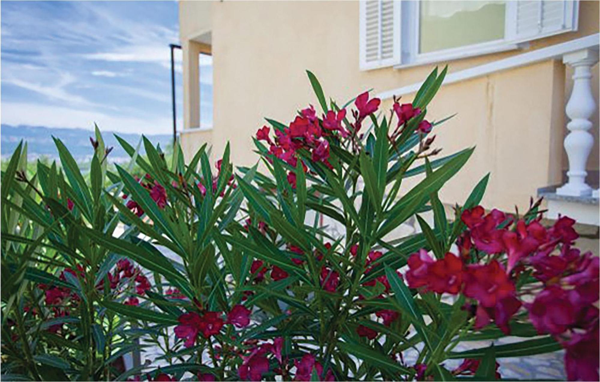 1 Bedroom Beautiful Apartment In Malinska Dış mekan fotoğraf
