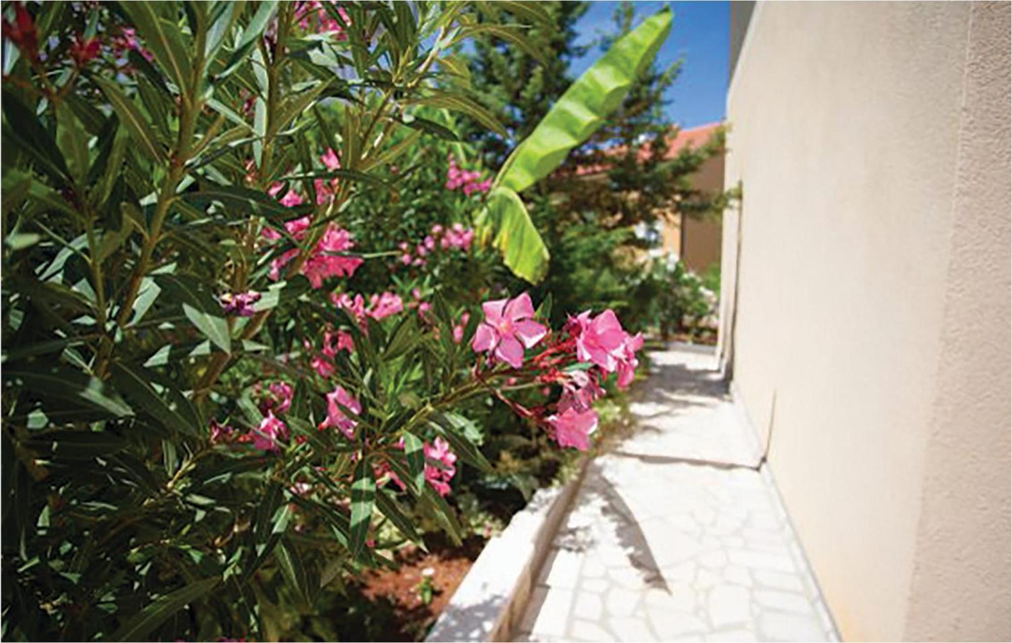 1 Bedroom Beautiful Apartment In Malinska Dış mekan fotoğraf